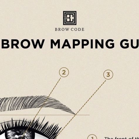 Brow Code Professional on Instagram: "The guide to mapping out FLAWLESS brows every 👏🏼 single 👏🏼 time 👏🏼⁠ ⁠ Our Charcoal Brow Mapping Thread is the perfect brow accessory to use to sculpt your clients dream brows 🖤⁠ ⁠ Share this with your Pro BFF's 📣⁠ ⁠ 🛒 browcode.com" Brow Code, Brow Mapping, Perfect Brow, Perfect Brows, Fashion Makeup, Face Makeup, Beauty Hacks, Thread, Coding