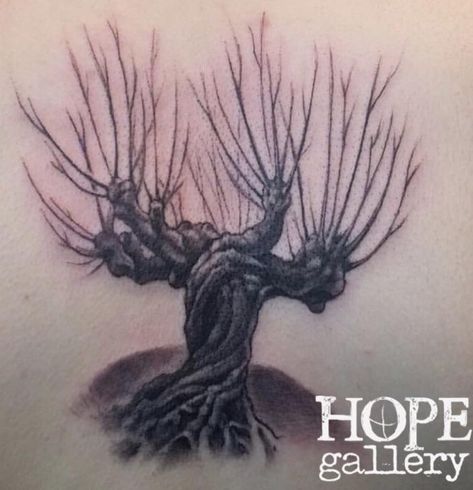 Harry Potters Whomping Willow by Shane Baker of Hope Gallery Tattoo (New Haven CT) Willow Tree Tattoo, Whomping Willow, Harry Potter Birthday Cards, Harry Potter Sketch, Harry Potter Quotes Funny, Harry Tattoos, Harry Potter Symbols, Willow Tree Tattoos, Gallery Tattoo