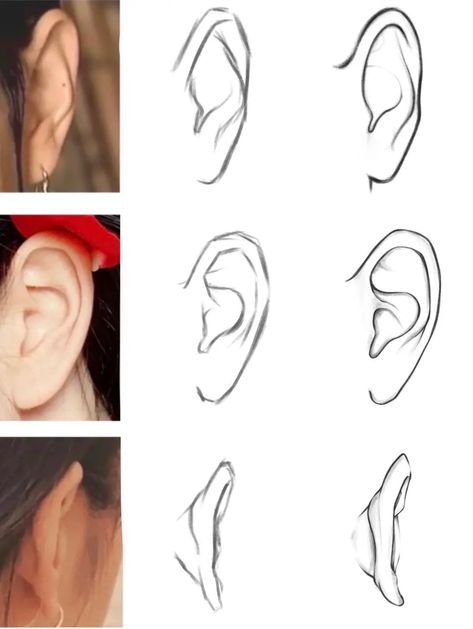 Ear Drawing Front View, Side Profile Reference Female, How To Draw A Ear, Ear Digital Art, Ear References Drawing, How To Draw An Ear, Ear Art Reference, Realistic Ear Drawing, Ear Tutorial Drawing