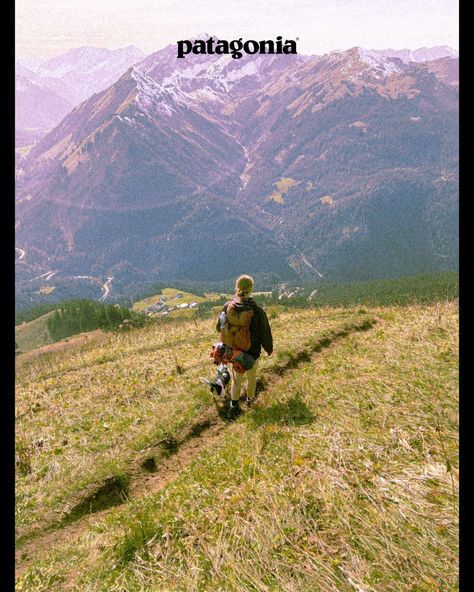 Alps Aesthetic, Patagonia Hiking, Dorm Art, Vintage Poster Design, Vintage Patagonia, Nature Posters, The Alps, Vintage Poster Art, Pics Art