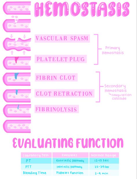 Hemostasis Notes, Hematology Notes, Medical Study Notes, Hematology Nursing, Medical Laboratory Technologist, Physician Assistant Student, Medical Biology, Nursing School Life, Aesthetic Medical