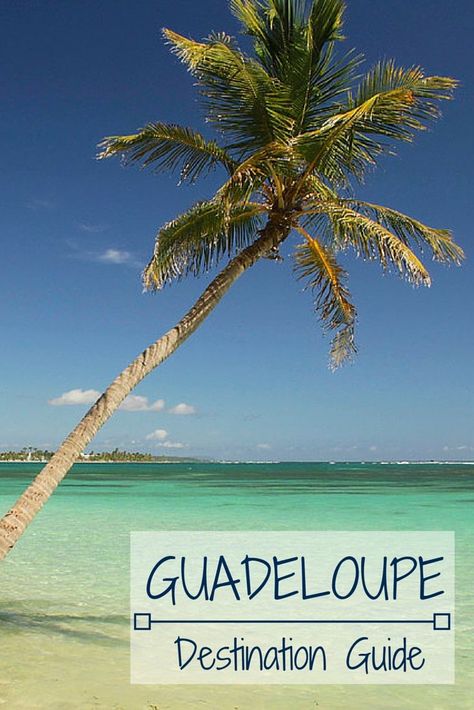 Guadeloupe caribbean islands Travel Destination Guide  @michaelOXOXO @JonXOXOXO @emmaruthXOXO  #MAGICALGUADELOUPE Guadalupe Island Caribbean, Guadalupe Island, French Caribbean, Padi Diving, Marie Galante, Summer Vacation Destinations, Caribbean Vacations, Caribbean Travel, Destination Voyage