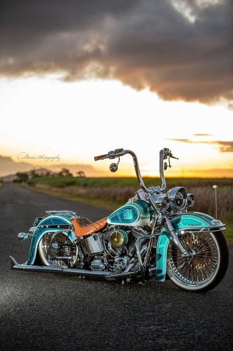 SOFTAIL DELUXE LIFESTYLE | The beauty of Harley 🥰 | Facebook Harley Softail Deluxe, Tourer Motorcycles, Softail Bobber, West Coast Chopper, Harley Davidson Softail, Mary Pictures, Chicano Style, Custom Motorcycles Harley, Cool Old Cars