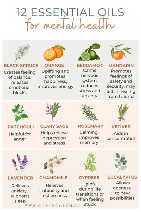 12 Natural Essential Oils To Use To Support Mental Health Essential Oils For Mental Health, Chakra Herbs, Essential Oils For Beginners, Essential Oil Education, Essential Oil Diffuser Blends Recipes, Essential Oils Guide, Freeze Greens, Essential Oils Herbs, Oil Remedies