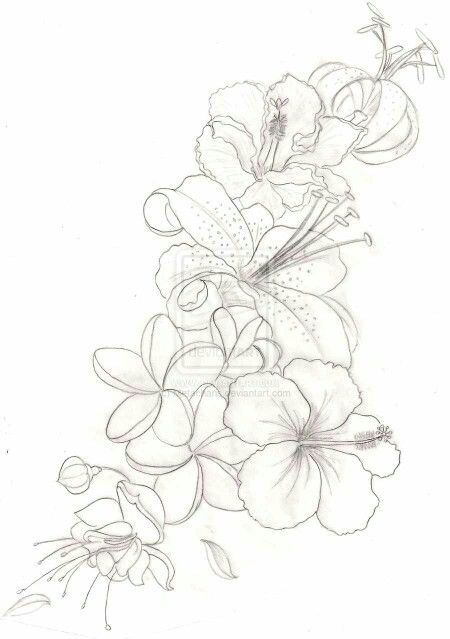 Tropical flowers Hawaiian Flower Drawing, Orchid Flower Tattoos, Tropical Flower Tattoos, Drawing Of Flowers, Hibiscus Flower Tattoos, Hibiscus Tattoo, Orchid Tattoo, Flower Tattoo Drawings, Flower Tattoo Shoulder