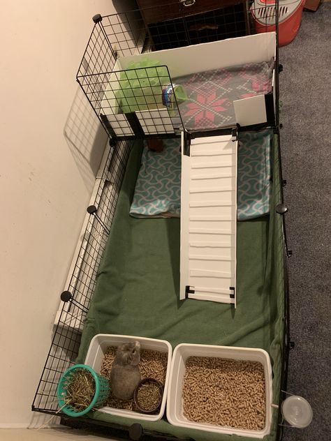 C C Guinea Pig Cage, Diy Bunny Cage, Cavy Cage, Indoor Rabbit Cage, Diy Guinea Pig Cage, Guinea Pig Diy, Fleece Bedding, C&c Cage, Guinea Pig House