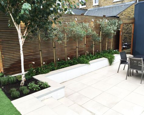 Our clients in Clapham are delighted with their freshly planted herb garden and flower beds. Close to the house we cleared the raised beds, constructed a small herb garden and planted Anemones, Agapanthus and Erigeron, along with some other spring bulbs. The rosemary, basil, mint and chives are already thriving and, come spring there will be an abundance of colour under the line of olive trees. House Garden Design Small Spaces, Front Garden Wall, House Garden Design, Small Spaces Ideas, Olive Trees Garden, Tree Garden Design, Garden Design Ideas Inspiration, Small Herb Gardens, Garden Wall Designs