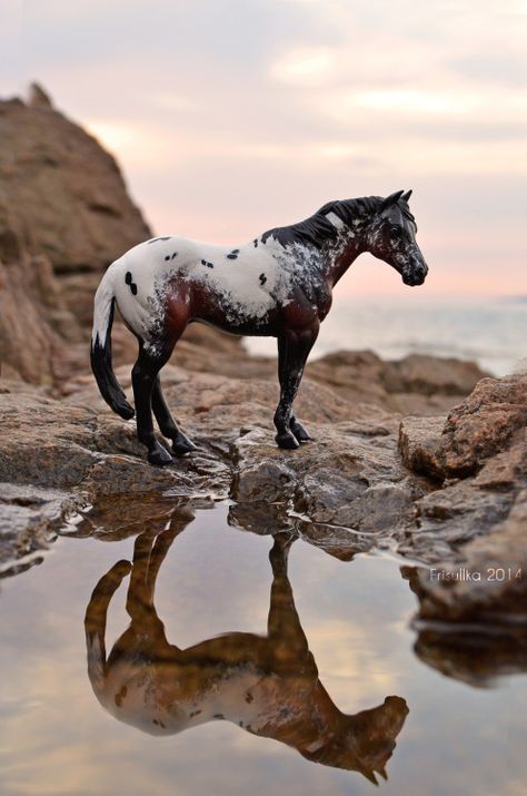 This Schleich horse was photographed by a very talented photographer! Well done. #Jupinkle Bryer Horses, Horse Inspiration, Appaloosa Horses, Custom Horse, All The Pretty Horses, Breyer Horses, Horse Crazy, Horse Sculpture, Cute Horses