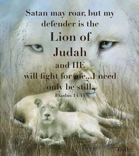 Satan may roar but my DEFENDER is the Lion of Judah and He will fight for me... I need only be STILL. ~Exodus 14:14 The Lion Of Judah, Woord Van God, Ayat Alkitab, Lion Of Judah, Spiritual Warfare, King Of Kings, Spiritual Inspiration, The Grass, Scripture Quotes