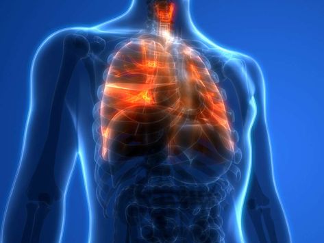 Lung function: What do the lungs do? Increase Lung Capacity, Lungs Health, Pulmonary Disease, Lung Disease, Health Department, Respiratory System, Lungs, Public Health, Vitamin E