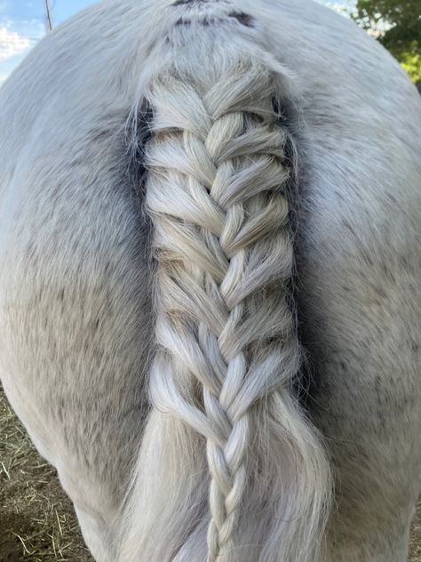 French Tail Braid, Horse Mane Braids, Horse Braiding, Tail Hairstyle, Tail Braids, Diy Hair Scrunchies, Horse Mane, Horse Tail, Mane N Tail