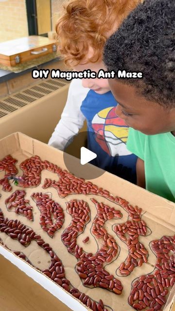 Elizabeth ✨ Preschool for You on Instagram: "Magnetic Ant Maze 🐜  I made this with my class a few years ago but it was so much fun I find myself pulling it out of the closet every spring. To begin, I drew ant tunnels and then the kids glued on the beans. The ant is from our toy bug collection and I simply hot glued it to a small magnet. The ant “moves” by connecting to another magnet underneath the box lid✨  • • • • •  #antmaze #ants #stemforkids #learningthroughplay #bugs #insectstudy #playislearning #preschool #prek #preschoolclassroom #diygames #cardboardcrafts #recycleandplay #sustainableplay #stemeducation #stemactivities #stemactivitiesforkids #scienceforkids #earlychildhoodeducation #reggioinspired #reggioinspiredteachers #playbasedlearning #learningthroughnature #natureplay #early Ants For Preschoolers, Preschool Ant Craft, Ant Activity For Kids, Creepy Crawlies Craft For Kids, Ant Activity For Preschool, Ant Tunnels, Insects Activities Preschool, Insects Activities For Kids, Ant Hill Craft