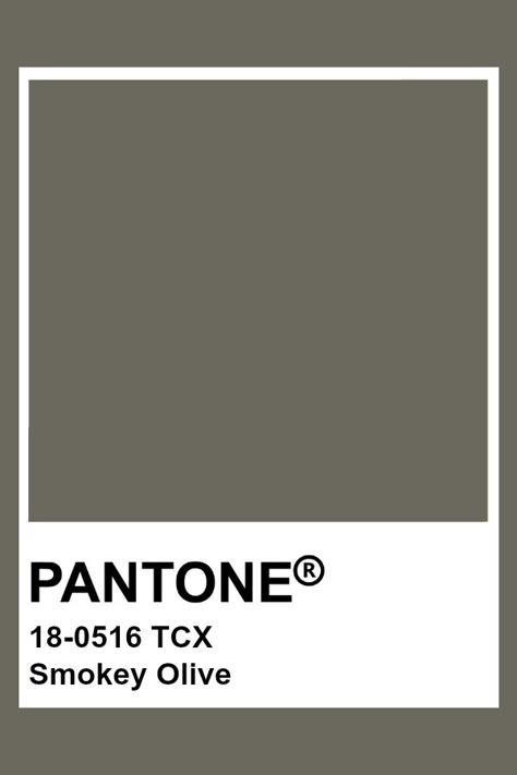 PANTONE 18-0516 TCX Smokey Olive Pantone Olive Green, Olive Pantone, Tcx Pantone, Pantone Color Swatches, Brown Pantone, Pantone Green, Pantone Tcx, Pantone Color Chart, Pantone Swatches