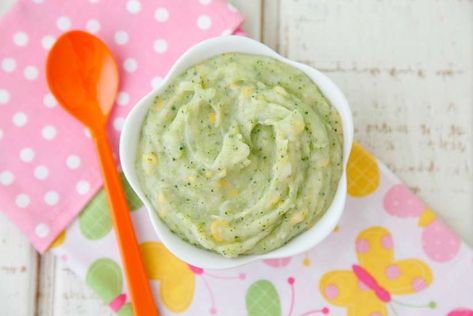 10 Homemade Baby Food Recipes for your Little Green Pouch Pureed Diet, Soft Foods Diet, Broccoli Potato, Diy Baby Food, Bariatric Friendly Recipes, Bariatric Eating, Healthy Baby Food, Baby Puree Recipes, Baby Puree