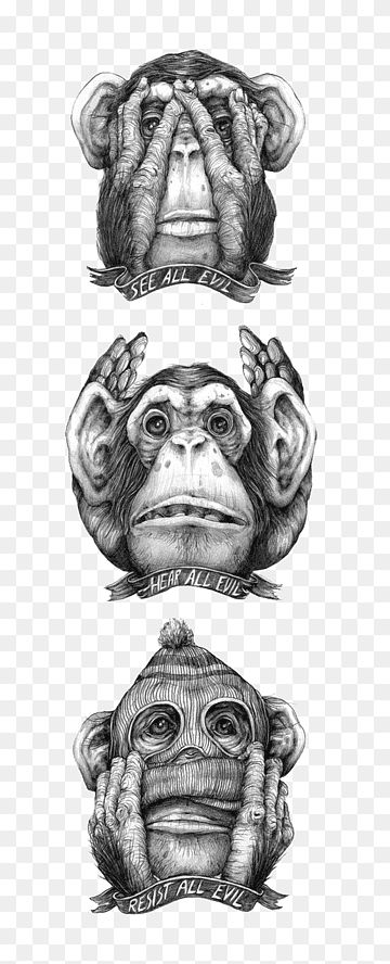 Pat Perry, Three Monkeys, See Tattoo, Gorilla Tattoo, Monkey Tattoos, Three Wise Monkeys, Wise Monkeys, Monkey Art, Tattoo Design Drawings