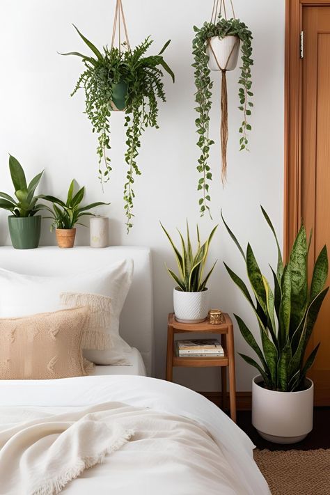 Budget-Friendly Plants to Bring Life to Your Bedroom Makeover Snake Plants, Snake Plant, Cozy Space, Decor Project, Bedroom Makeover, Indoor Plants, Budget Friendly, Budgeting, Diy Decor