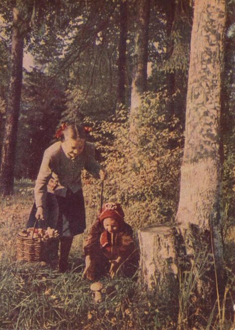 sovietpostcards: “ Mushroom picking (1954) ” Mushroom Photoshoot, Opera Design, Vibe Pics, Mushroom Picking, Euro Winter, The Paper Kites, Bethlehem Star, Woodland Cottage, Hansel And Gretel