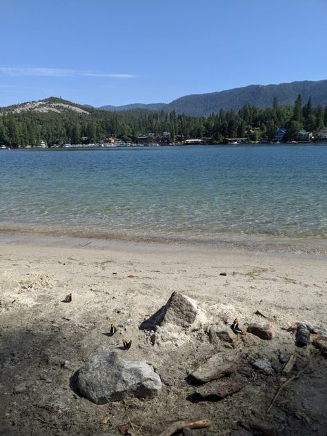 Bass Lake California, Bass Lake, Lake Trip, Yosemite Falls, The Pines, White Water Rafting, Mountain Biker, Perfect Weather, Boat Rental