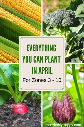 Vegetables To Grow In Spring, What To Plant In April In Zone 7, Spring Garden Vegetables, Vegetable Garden Plan, April Gardening, Spring Vegetable Garden, April April, When To Plant Vegetables, Vegetable Garden Planner