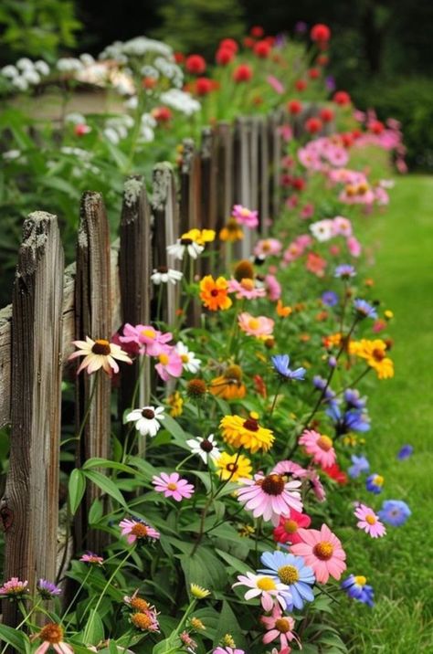 Home / X Flower Garden Inspiration, Flower Pathway, Small Flower Garden, Flower Yard, Small Flower Gardens, Garden Fence Ideas, Fence Designs, Veg Garden, Have Inspiration