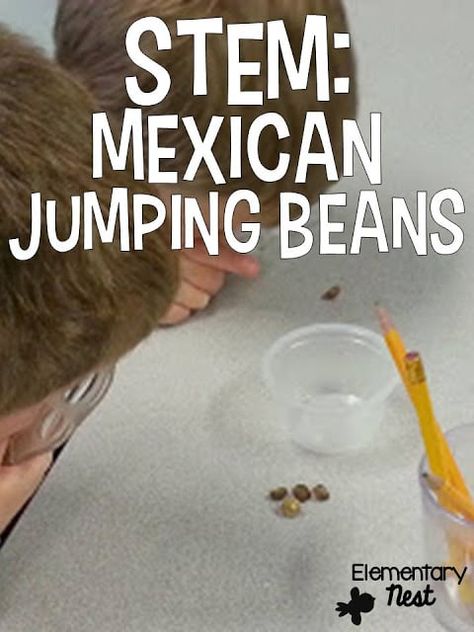 Mexico For Kids, Rainbow Preschool, Prek Themes, Mexico Theme, Plant Lessons, Country Study, Beans Beans, Early Childhood Activities, Stem Lab