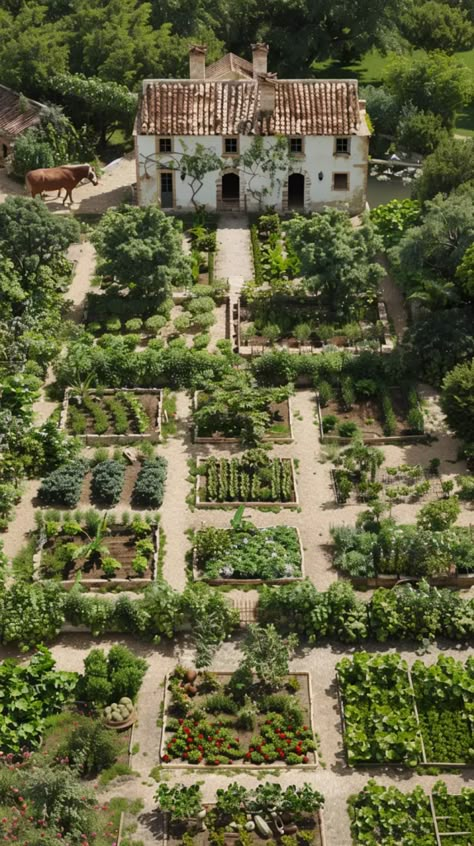 Homesteading for Beginners Homestead Farm Layout, Mediterranean Vegetable Garden, Luxury Homestead, Horticulture Aesthetic, Vegan Homestead, Homesteading Layout, Rural Homestead, Farmer Aesthetic, Montana Homestead