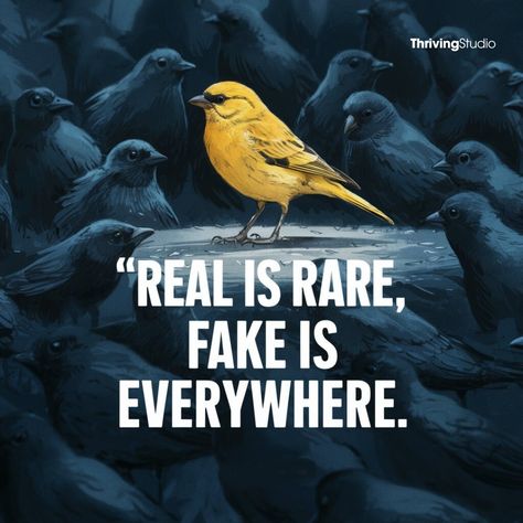 "In a world full of imitations, being genuine makes you stand out. Embrace your uniqueness, because real is rare and fake is everywhere. #BeReal #StandOut #Authenticity" Real Is Rare Fake Is Everywhere, Real Is Rare Quotes, Fake World Quotes, Real Is Rare, Fake World, Being Genuine, Science Exhibition, Rare Quote, World Quotes