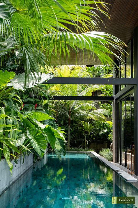 Bali Landscape, London Parks, Pool Plants, Plunge Pools, Dream Future, London Park, Landscaping Company, River House, Plunge Pool