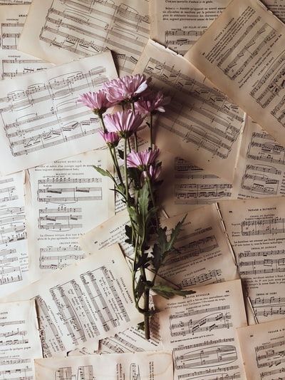 Sheet Music on sale: 20-25 off only on August 3rd-4th Sheet Music Flowers, Classical Sheet Music, Music Flower, Giving Flowers, Violin Sheet Music, Music Aesthetic, Music Wallpaper, Music Photography, Classical Music