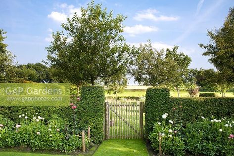 Farm Landscaping, Gardening Design Diy, Westbury Gardens, Garden Gate Design, Betula Pendula, Orchard Garden, Wooden Gate, Vegetable Garden Planner, Garden Entrance