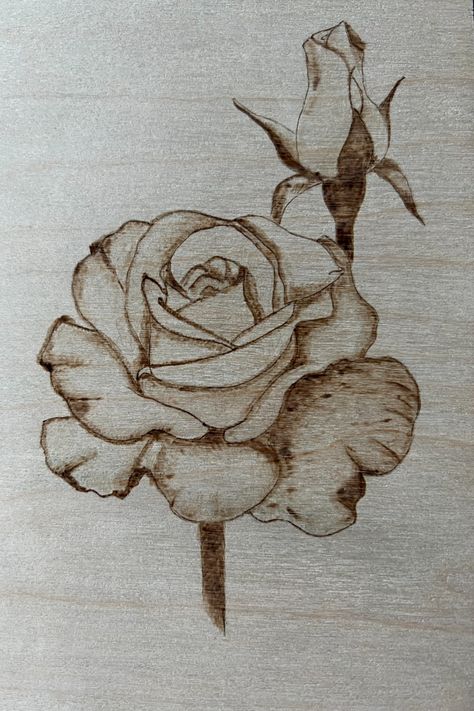 Rose and rose bud burned on baltic birch. Had no idea that shading was this hard but practice practice practice Rose Wood Burning, Burning Rose, Coffee Painting, Rose Stem, Wood Burning Patterns, Wood Burning Art, Cool Woodworking Projects, Rose Bud, Wood Carvings