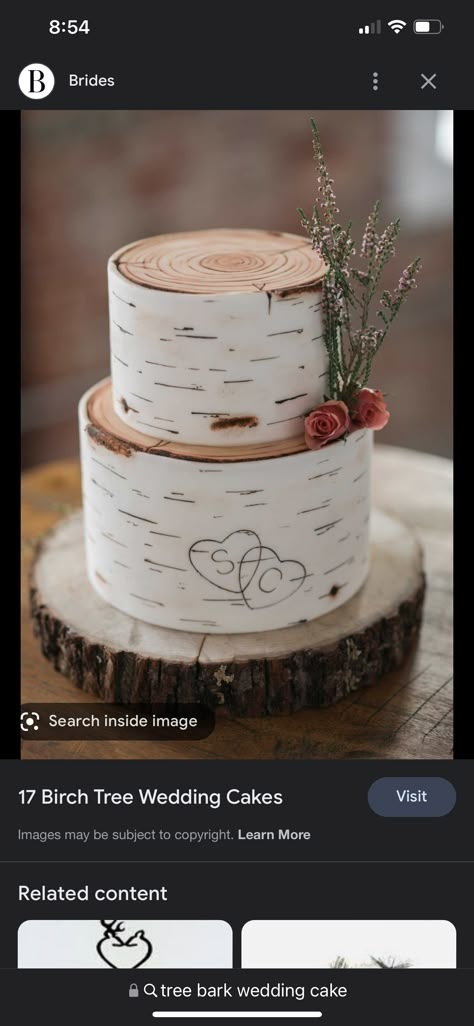 Fall Wedding Cakes Two Tier, Aspen Tree Wedding Cake, Birch Cake Tutorial, Birch Bark Wedding Cake, Mountain Wedding Cake Ideas, Wedding Cake Mountain, Birch Bark Cake, Woodsy Wedding Cake, Birch Tree Wedding Cake