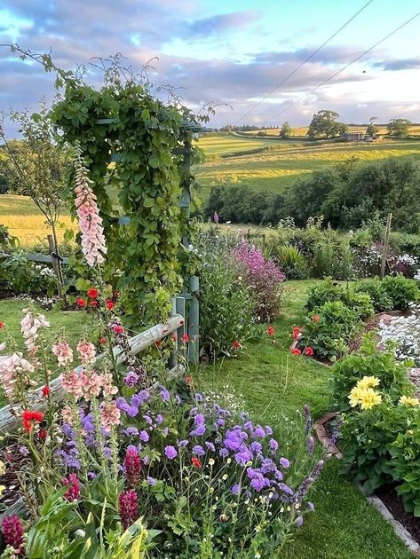 Country Garden Aesthetic, British Garden Aesthetic, Cottage Core Yard, Pretty Garden Aesthetic, Flower Garden House, Countryside Backyard, Flower Garden Aesthetic, Flower Backyard, Country House Garden