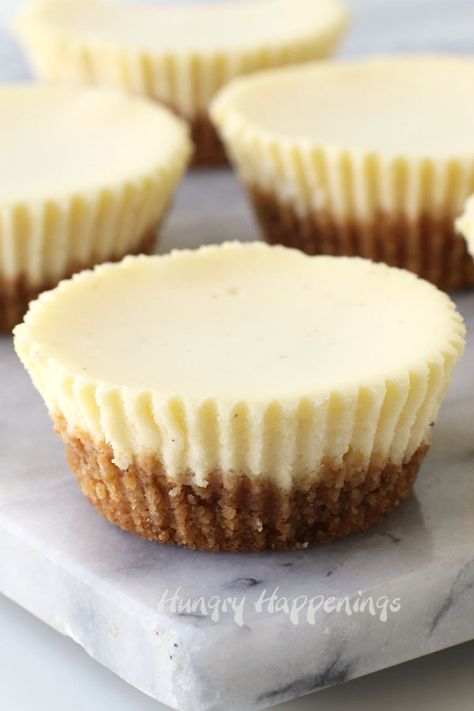 Individual Cheesecake Recipes, Protein Cheesecake Bites, Mini Cheesecake Cupcakes, Cheesecake Cupcakes Recipe, Biscotti Cheesecake, Individual Cheesecakes, Bolo Red Velvet, Savory Cakes, Dessert Mini