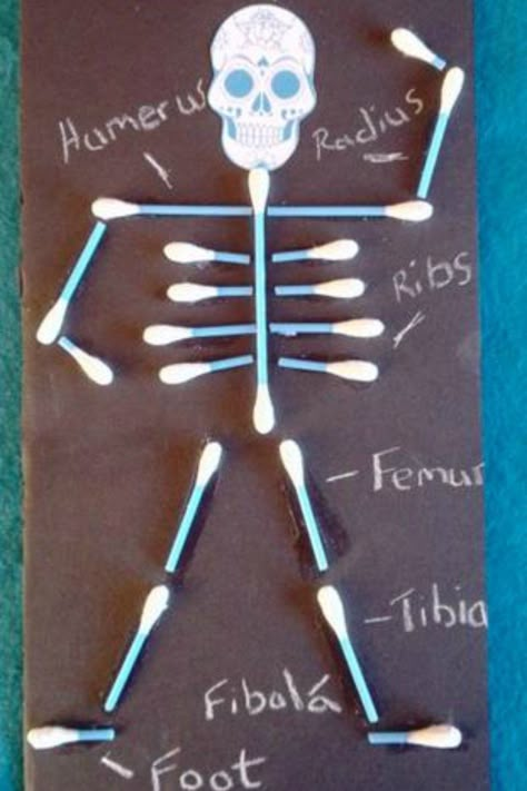 Educational Crafts For Kids, Human Body Crafts, Human Body Projects, 123 Homeschool 4 Me, Human Body Activities, Body Bones, Body Craft, Lacing Cards, Fun Indoor Activities