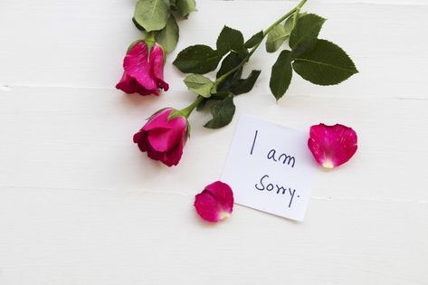 I am sorry message card with roses Premi... | Premium Photo #Freepik #photo #flower #rose #note #writing Sorry Message, 22nd Birthday Cakes, Classy Wallpaper, Good Morning Roses, Wallpaper Flowers, Android Wallpaper Flowers, 22nd Birthday, Galaxy Phone Wallpaper, Phone Wallpaper Design