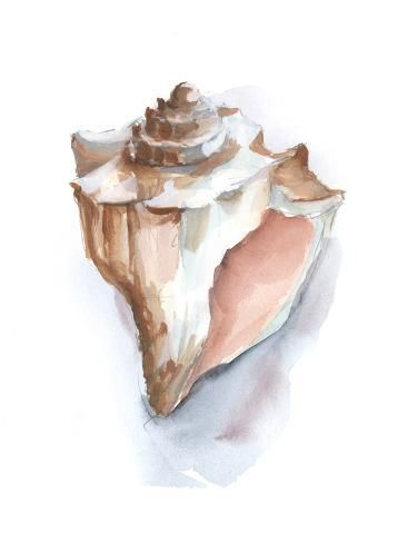 size: 12x9in Art Print: Pastel Shell Collection I by Ethan Harper : Learn Watercolor Painting, Learn Watercolor, Sketchbook Journal, Paintings Tutorials, Shell Collection, Summer Painting, Watercolour Paint, Diy Watercolor Painting, Beach Watercolor