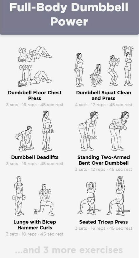 Dumbbell Fat Burning Workout, Full Body Pump Workout, Full Body Workout Weights Women, Easy Gym Routine For Women, Barbell And Dumbbell Workout, Home Workout With Weights For Women, Women Dumbbell Workout, Dum Bell Workout For Women, Basic Weight Training For Women