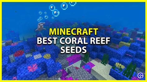 Source: Gamer Tweak. Visit Minecraft 1.19: Best Coral Reef Seeds for more information. Here are the 3 coral reef seeds that you should try in Minecraft. Source: Gamer Tweak. Visit Minecraft 1.19: Best Coral Reef Seeds for more information. Coral Minecraft Builds, Minecraft Coral Reef, Best Seeds For Minecraft Bedrock, Minecraft Seeds Pocket Edition, Cool Minecraft Seeds 1.19, Ocean Biome, Minecraft Seeds Bedrock Edition, Cool Minecraft Seeds, Minecraft Underwater