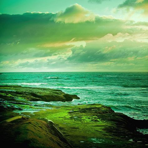 Green. Ocean. Summer. Vibes. Billabong Girls, Green Photography, New Zealand Landscape, Green Ocean, Summer Waves, Photography Beach, Sea And Ocean, Beach Summer, Beautiful World