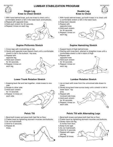 Pulled Back Muscle & Lower Back Strain – Rehab, Training & Excercises – Bear-Fitness Small Exercises, Lumbar Exercises, Lumbar Pain, Back Strain, Lumbar Spine, Sciatica Exercises, Physical Therapy Exercises, Lower Back Pain Exercises, Lower Back Exercises