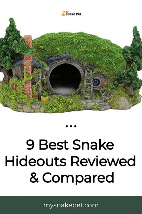 The best snake hides give your pet snake a place to get some privacy which helps it feel comfortable. We present the top choices, so you can be sure they actually… Snake Enclosure Ideas, Snake Terrarium, Snake Hides, Snake Enclosure, Reptile Incubator, Enclosure Ideas, Largest Snake, Natural Cave, Small Snakes