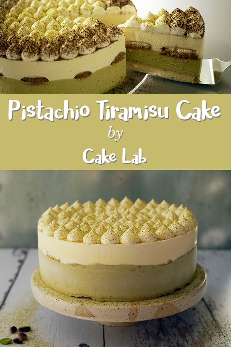 Pistachio Delight, Pistachio Tiramisu, Pistachio Dessert, Patisserie Fine, Pistachio Recipes, Pistachio Cake, Tiramisu Cake, Tiramisu Recipe, Fancy Desserts