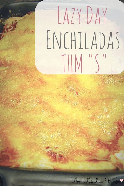 Trim Healthy Mama Diet, Thm Dinner, Trim Healthy Recipes, Trim Healthy Mama Plan, Trim Healthy Momma, Diet Cookies, Homemade Enchilada Sauce, Homemade Enchiladas, Trim Healthy Mama Recipes