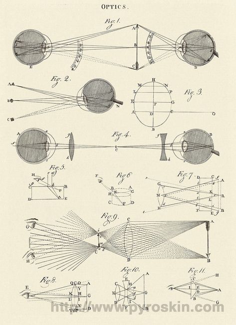 Scared Geometry, Mathematics Art, Scientific Drawing, Data Visualization Design, Geometric Shapes Art, Astronomy Art, Perspective Art, Math Art, Geometry Art