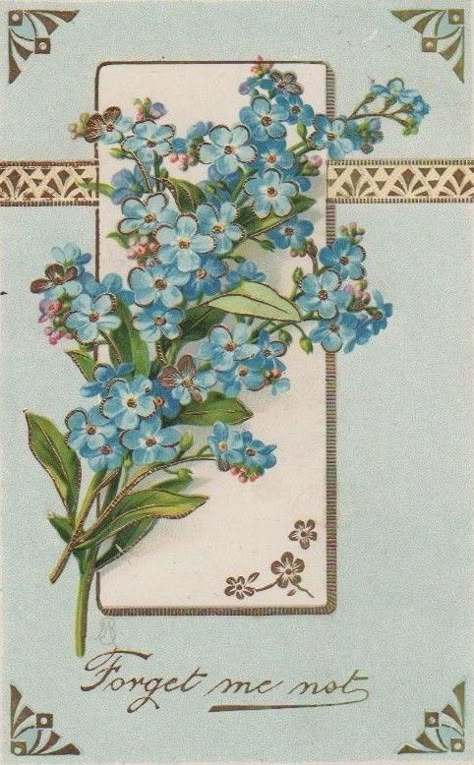 Flores Wallpaper, Forget Me Nots Flowers, Not Wallpaper, Roses Pattern, Flower Meanings, Nothing But Flowers, Forget Me Nots, Fabric Prints, Language Of Flowers