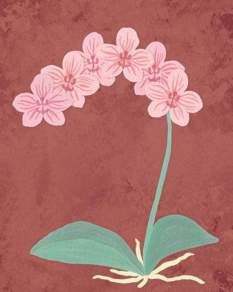 Another orchid for you today! I painted this in Procreate with my Gouache Magic brushes, and this was also painted as part of a project for the Asheville Orchid Festival, like the cattleya I posted recently. The final festival poster design is coming soon! #phalaenopsis #orchid #procreatepainting #digitalpainting #feelingpink Orchid Artwork, Orchids Illustration, Recently Saved, Festival Poster Design, Orchid Illustration, Orchid Wallpaper, Orchid Art, Orchids Painting, Orchid Print