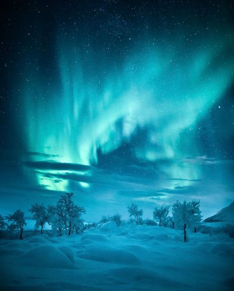 Earth on Twitter: "Arctic Nights, Finland ✨ https://t.co/mjDvzIpdd2" / Twitter Finland Aesthetic, Northern Lights Viewing, Aurora Sky, Arctic Sea, Aesthetic Nature, Winter Clothing, Sea World, Nature Images, Winter Landscape