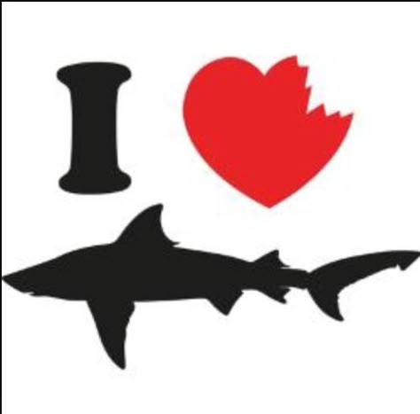 I Heart Sharks Pfp, I Heart Sharks, I Love Sharks Pfp, Cute Shark Picture, Shark Sayings, Matching Shark Pfps, Shark Matching Pfp, Sharks In Love, Shark Heart