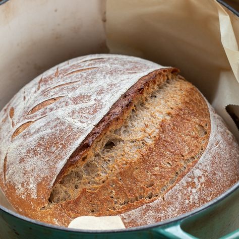 This sprouted wheat bread really showcases the rich and naturally sweet flavour of sprouted wheat flour. Whole grain bread tends to be dense, but sprouted wheat flour results in a fluffy, moist texture. Sprouting also reduces bitterness (saponin) and converts complex carbs into simpler sugars. This results in a lighter, sweeter taste with a low glycemic index. Our sprouted wheat flour is freshly sprouted and finely stone ground from organic Canadian wheat. Sprouted Whole Wheat Bread, Sprouted Wheat Bread Recipe, Sprouted Grain Bread Recipe, Sour Dough Bread Starter Recipe, Sprouted Wheat Bread, Spring Foods, Sprouted Wheat, Cranberry Bread Recipes, Bread Recipe Video